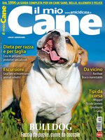 Il mio Cane